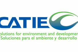 n-catie n-catie