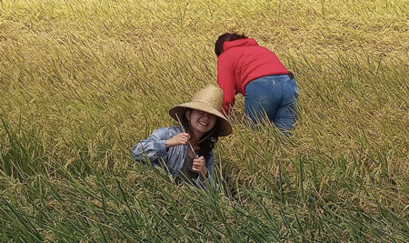 Agronegocios sostenibles en República Dominicana: transformando barreras en oportunidades