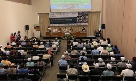 Proyecto BioPaSOS abrió camino al desarrollo de una ganadería sustentable que maneja y conserva la biodiversidad en Campeche