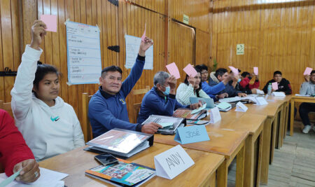 Apoyo a la economía familiar de pequeños productores de banano orgánico