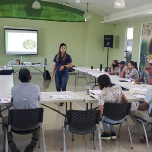 Empresas rurales de banano orgánico en Perú y República Dominicana fortalecen sus capacidades gerenciales