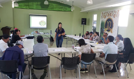 Empresas rurales de banano orgánico en Perú y República Dominicana fortalecen sus capacidades gerenciales