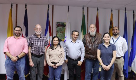 CATIE promueve esfuerzos por un futuro energético sostenible