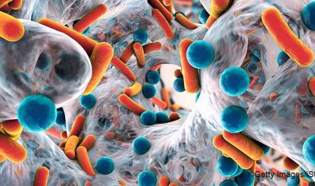 CATIE forma parte de proyecto que busca contener la resistencia antimicrobiana