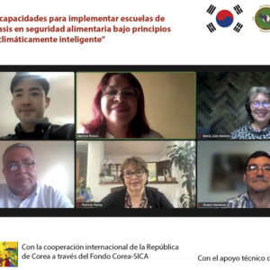 <trp-post-container data-trp-post-id='15892'>CATIE y el SICA inauguraron diplomado: Desarrollo de capacidades para implementar Escuelas de Campo con énfasis en seguridad alimentaria bajo principios de agricultura climáticamente inteligente</trp-post-container>