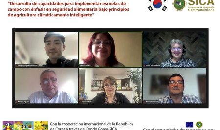 <trp-post-container data-trp-post-id='15892'>CATIE y el SICA inauguraron diplomado: Desarrollo de capacidades para implementar Escuelas de Campo con énfasis en seguridad alimentaria bajo principios de agricultura climáticamente inteligente</trp-post-container>