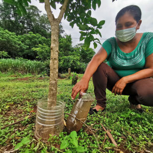 <trp-post-container data-trp-post-id='15785'>Inicia curso virtual para fortalecer la lucha contra el cambio climático en Bolivia</trp-post-container>