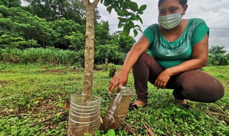 <trp-post-container data-trp-post-id='15785'>Inicia curso virtual para fortalecer la lucha contra el cambio climático en Bolivia</trp-post-container>