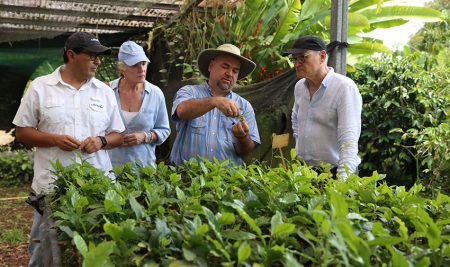 <trp-post-container data-trp-post-id='15792'>Seguridad alimentaria y conservación de germoplasma: los temas que lideran la alianza entre Crop Trust y CATIE</trp-post-container>