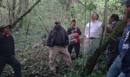 CATIE promueve sinergias para procesos de monitoreo biológico en San Andrés Itzapa, Guatemala