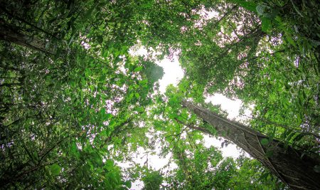 <trp-post-container data-trp-post-id='16551'>Autoridades bolivianas se especializan en la gestión de financiamiento climático</trp-post-container>