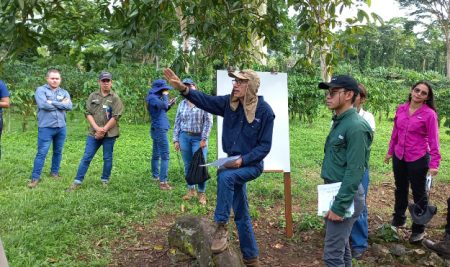 CATIE y ECOM impulsan la agroforestería sostenible en fincas cafetaleras de Costa Rica