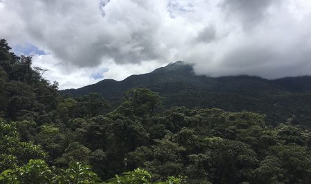 Investigación del CATIE contribuye al informe Estado de la Nación de Costa Rica