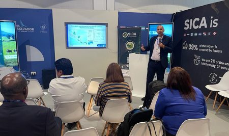 CATIE en la COP28: Director General reitera apoyo crucial de Crop Trust para la conservación del café