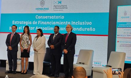 CATIE participa en conversatorio sobre financiamiento climático para el sector agroalimentario de Honduras