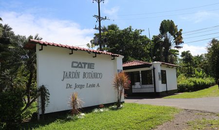 Jardín Botánico del CATIE celebra su 22 aniversario