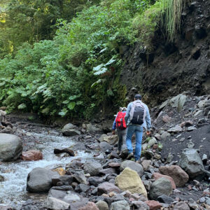 <trp-post-container data-trp-post-id='22883'>CATIE promueve la implementación del plan de negocios del Parque Regional Municipal Joya Grande en Guatemala</trp-post-container>