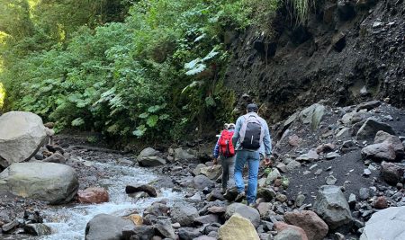 CATIE promueve la implementación del plan de negocios del Parque Regional Municipal Joya Grande en Guatemala