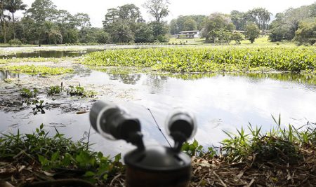CATIE expone soluciones innovadoras en el Simposio sobre la Calidad del Agua en Costa Rica