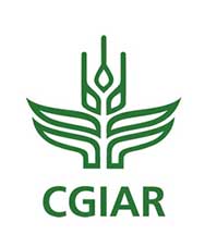4-CGIAR