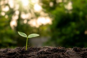 Agromira-2025-reunirá-a-líderes1
