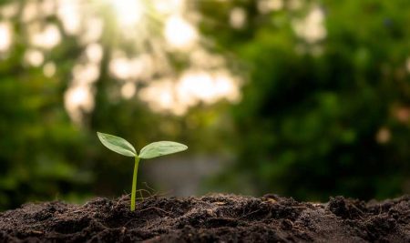 Agromira 2025 reunirá a líderes globales de los agronegocios en Costa Rica