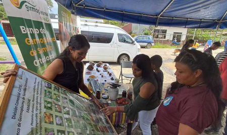 CATIE promueve salud y saberes ancestrales en feria realizada en territorio indígena Cabécar