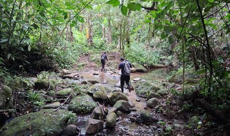 Emprendimientos de musáceas reciben asesoría en zonas indígenas y rurales del Caribe Sur