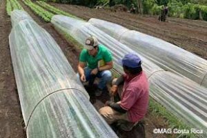 Fondos-no-reembolsables-impulsarán-la-tecnificación-agrícola-en-los-cultivos-de-papa-y-cebolla