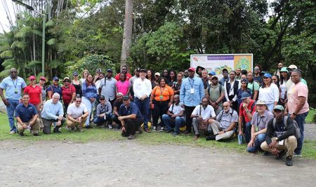 CATIE recibe delegación de nueve países del Caribe en el marco de la plataforma de agricultura tropical