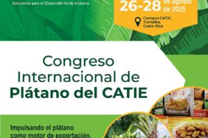 congreso-platano2