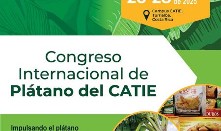 Congreso Internacional de Plátano del CATIE: una cita clave para el futuro del cultivo en América Latina y el Caribe