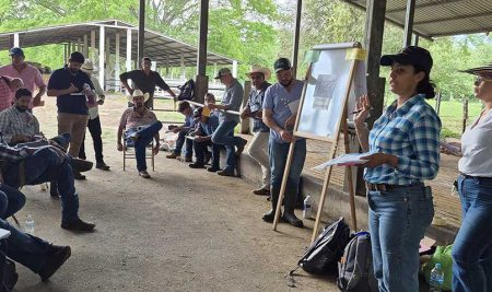 CATIE fortalece capacidades técnicas para una ganadería baja en carbono en Honduras