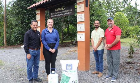 CATIE y Yara refuerzan su alianza para el cuido de la Colección Internacional de Café