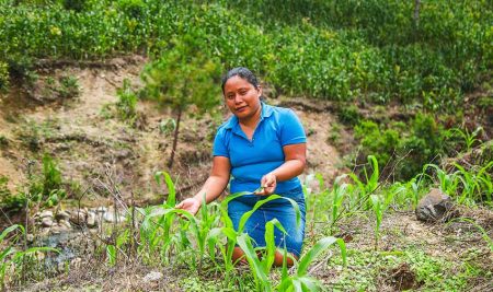 Conocimiento en Acción Un espacio clave para visibilizar soluciones que están transformando el Corredor Seco Centroamericano