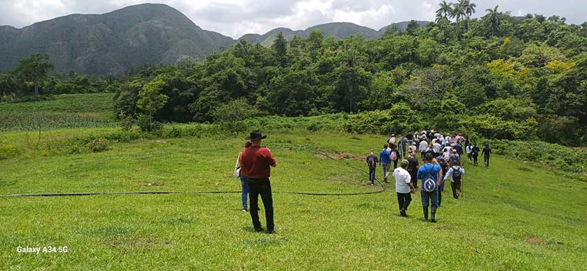 Los recorridos se realizaron durante el mes de julio e incluyeron visitas recíprocas a las fincas productoras de las provincias de Cienfuegos y Pinar del Río.