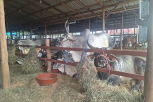 congreso-ganaderia1