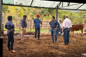 CATIE,-Federación-de-Ganaderos-de-Guanacaste-y-AgriCien-fortalecen-alianza-para-impulsar-una-ganadería-sostenible-y-resiliente-al-cambio-climático-en-Guanacaste,-Costa-Rica