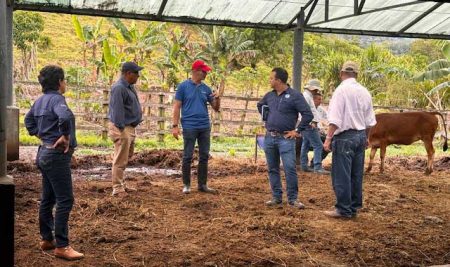 CATIE, Federación de Ganaderos de Guanacaste y AgriCien fortalecen alianza para impulsar una ganadería sostenible y resiliente al cambio climático en Guanacaste, Costa Rica