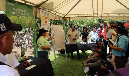 Costa Rica será sede del Congreso Internacional de Cacao 2025, el encuentro más dulce y sostenible de América latina