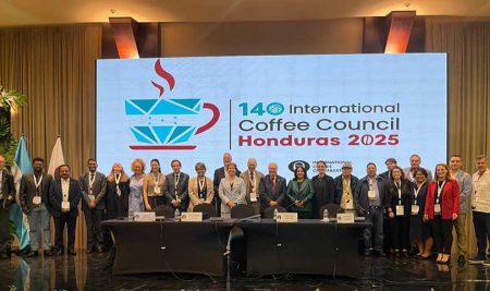 CATIE comparte experiencias sobre mecanización de la caficultura sostenible y regenerativa en Consejo Internacional de Café