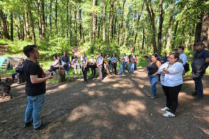 paisajes-forestales1