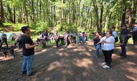 CATIE promueve la gestión participativa de paisajes forestales en Latinoamérica