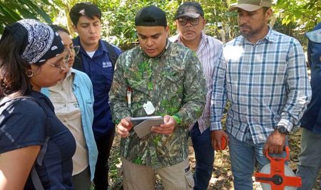 MARN y CATIE capacitan a especialistas salvadoreños en la Métrica de Condición Ecológica