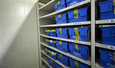 CATIE completa envío internacional de semillas para resguardo global de la biodiversidad agrícola