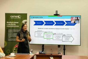 estudiante-restauracion1