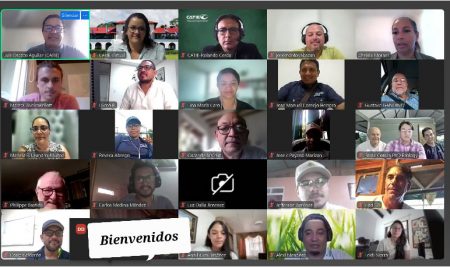 CATIE abre la matricula a la segunda edición del Diplomado en Cacao