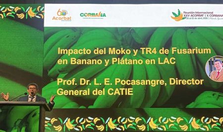 Director General del CATIE expone sobre el impacto del TR4 en ACORBAT 2026